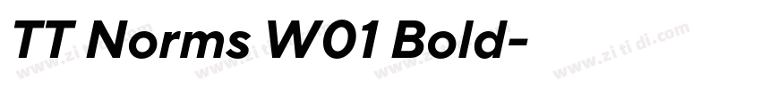 TT Norms W01 Bold字体转换 TT Norms W01 Bold字体转换